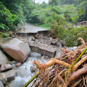 新北農業局山陀兒颱風復建已完工 恢復農路交通與農業安全
