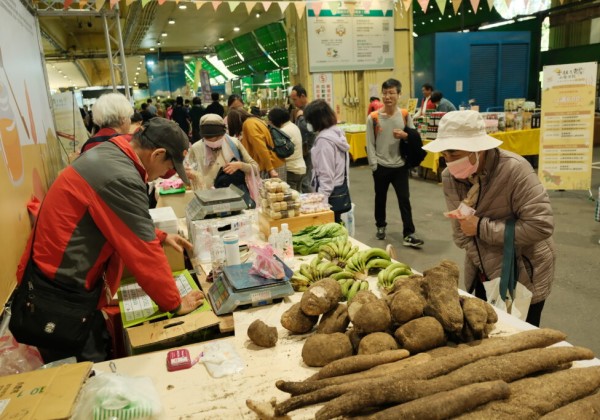 士林山藥小隊集結登場！黑白山藥對決、食農講堂一次看