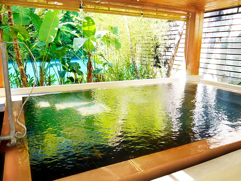 【馥蘭朵烏來渡假酒店景觀湯屋溫泉】泡湯優惠劵飯店米其林