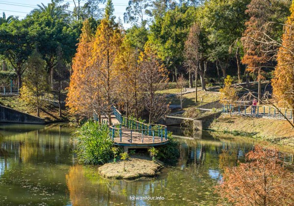 【長庚養生文化村落雨松】桃園龜山櫻花秘境推薦