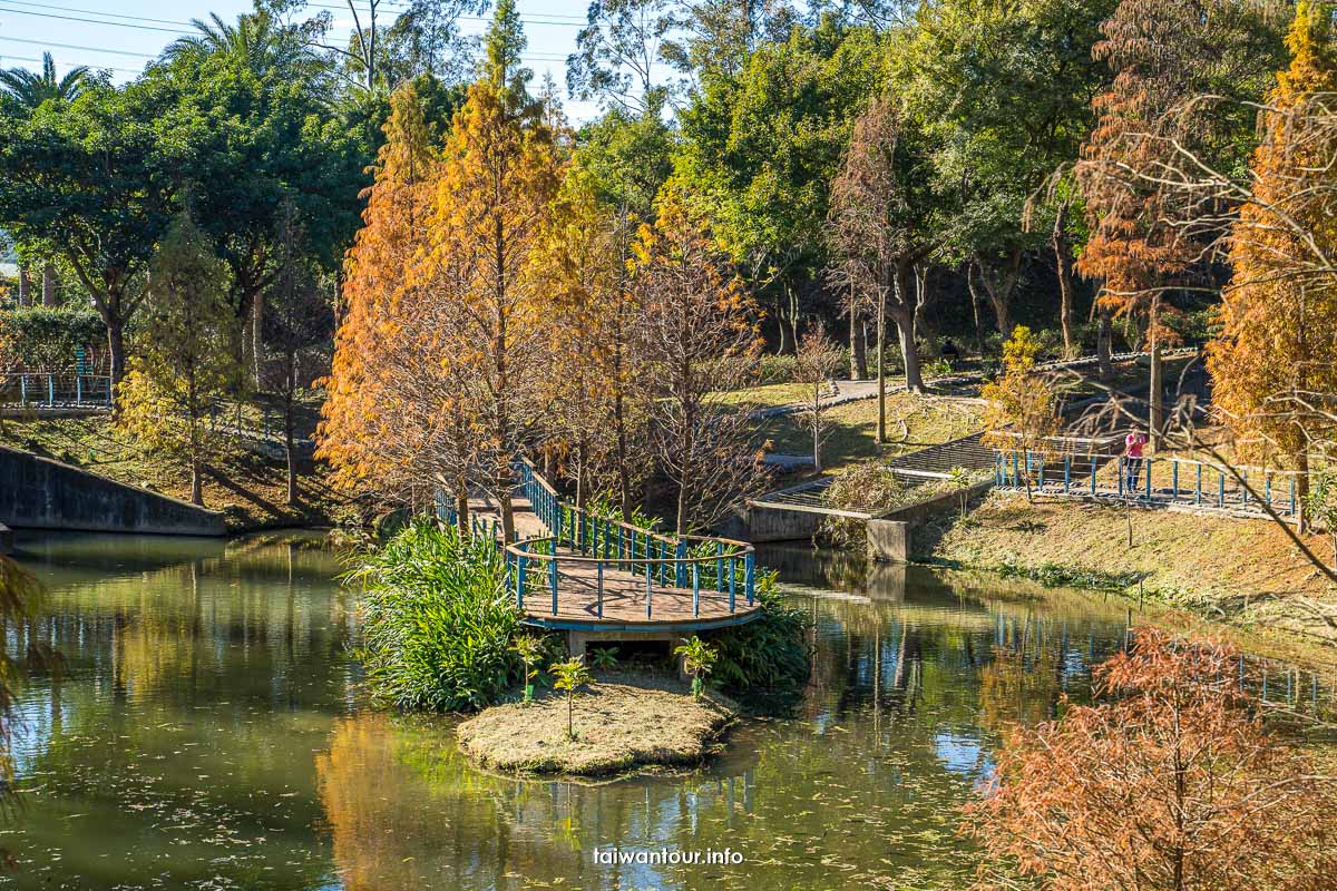 【長庚養生文化村落雨松】桃園龜山櫻花秘境推薦