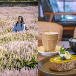 【關西小鎮一日遊】新竹親子私房景點推薦