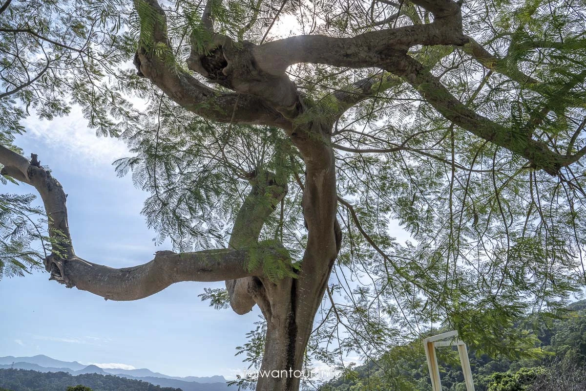 【關西小鎮一日遊】新竹親子私房景點推薦
