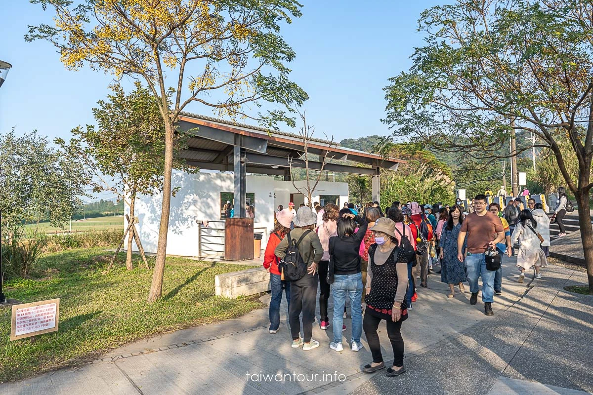 【大溪月眉人工濕地生態公園||落羽松大道】桃園景點交通.公車.停車 【大溪月眉人工濕地生態公園||落羽松大道】桃園景點交通.公車.停車