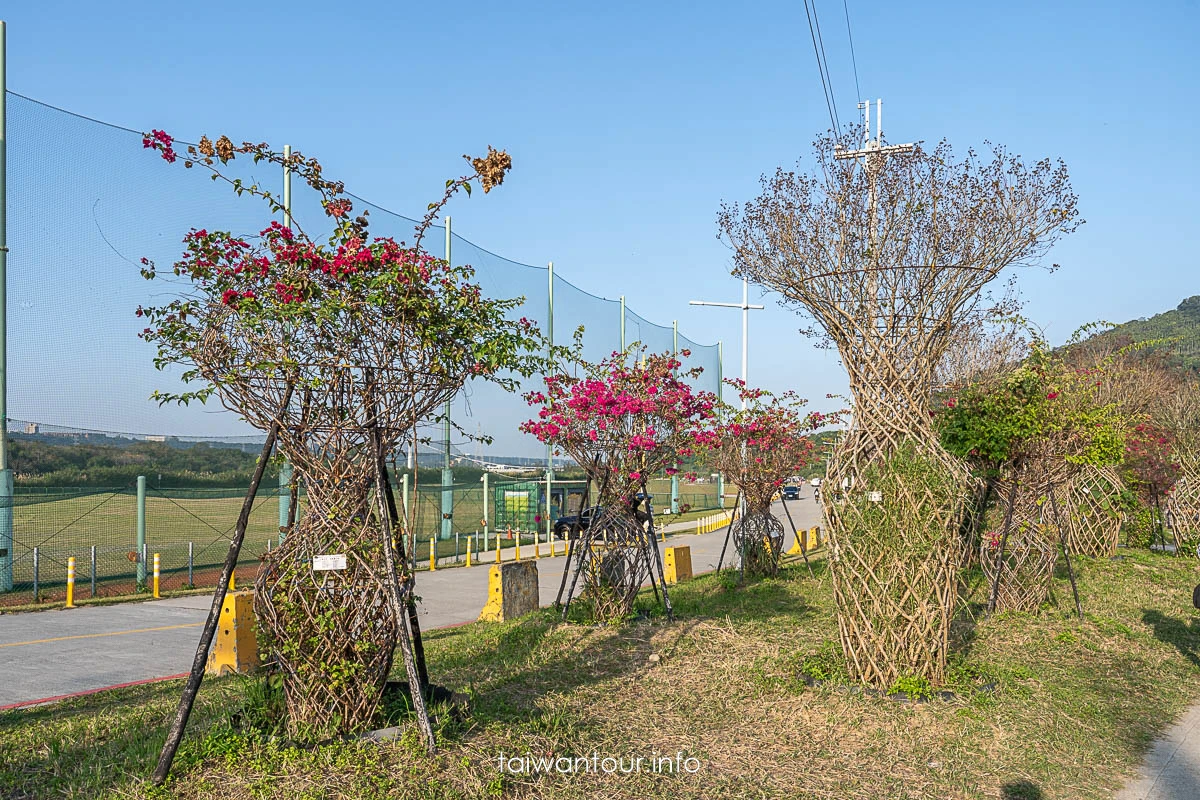 【大溪月眉人工濕地生態公園||落羽松大道】桃園景點交通.公車.停車 【大溪月眉人工濕地生態公園||落羽松大道】桃園景點交通.公車.停車