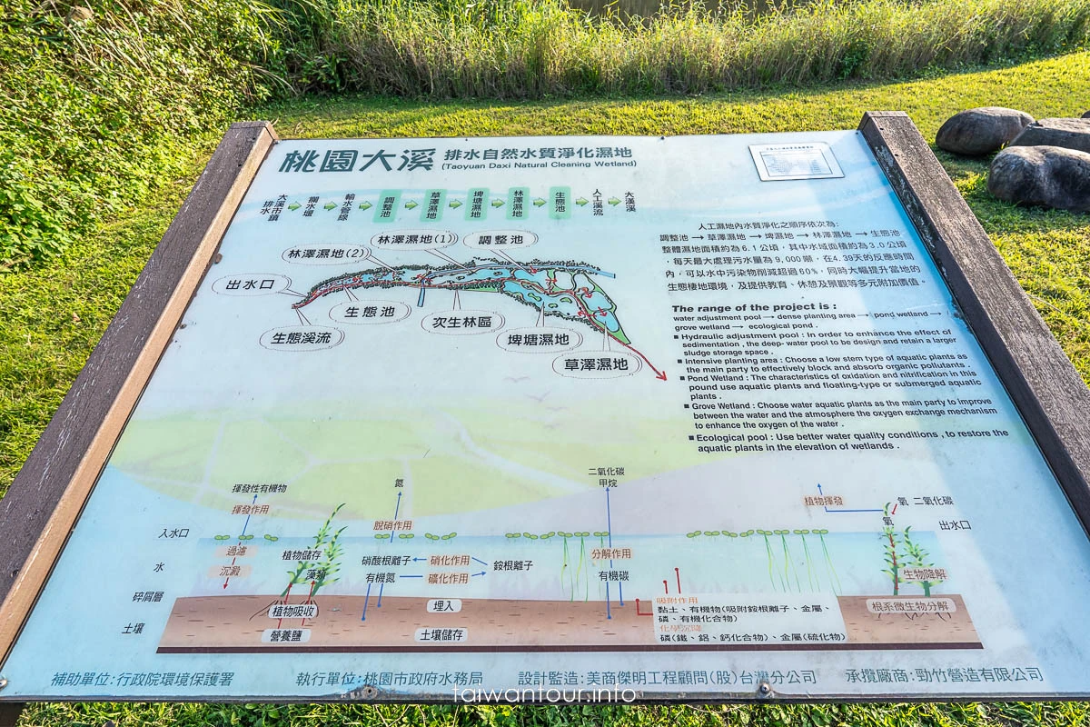 【大溪月眉人工濕地生態公園||落羽松大道】桃園景點交通.公車.停車 【大溪月眉人工濕地生態公園||落羽松大道】桃園景點交通.公車.停車