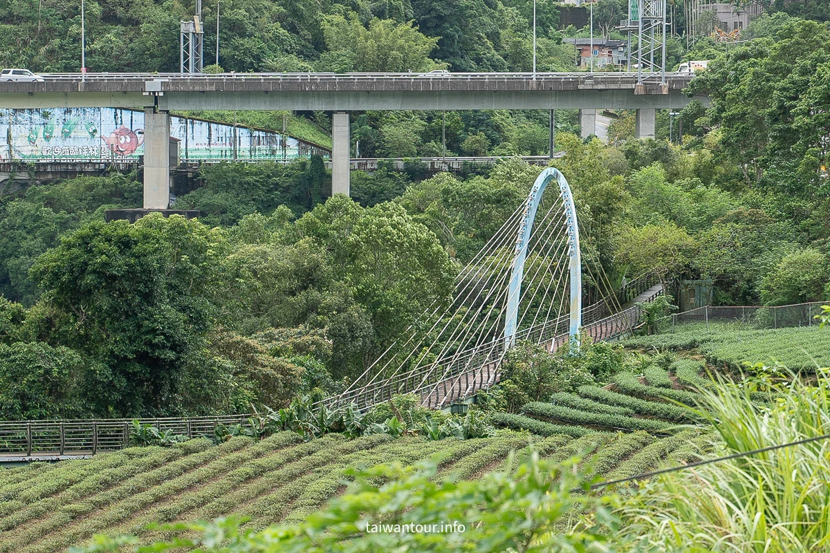 【北勢溪自行車道(粗坑口步道)】北部最美親子茶香步道 【北勢溪自行車道(粗坑口步道)】北部最美親子茶香步道
