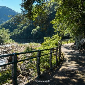 【坪林一日遊】新北坪林怎麼玩？茶鄉秘境.玩水美食.領隊帶你玩透透！[Pinglin One-Day Trip] How to explore Pinglin, New Taipei? Tea Village Secrets, Water Activities & Food, Let the guide take you through it all!
