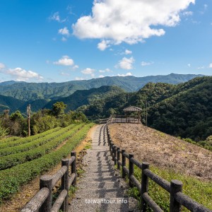 【南山寺景觀平台】新北抹茶山親子步道推薦