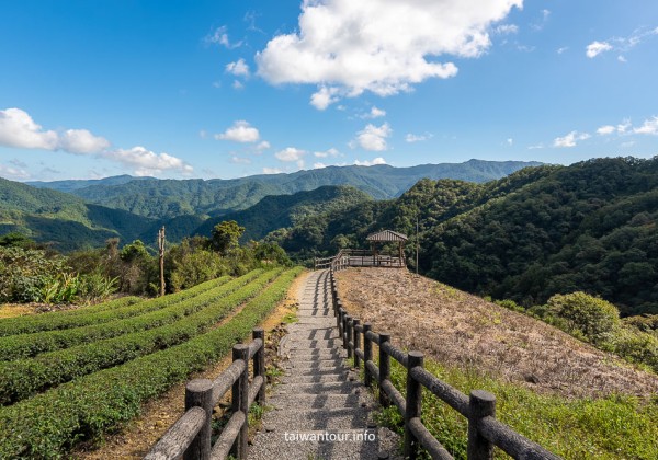 【南山寺景觀平台】新北抹茶山親子步道推薦