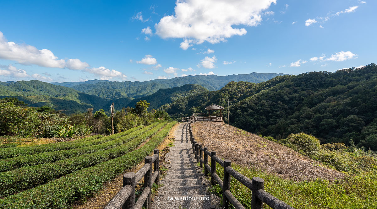 【南山寺景觀平台】新北抹茶山親子步道推薦