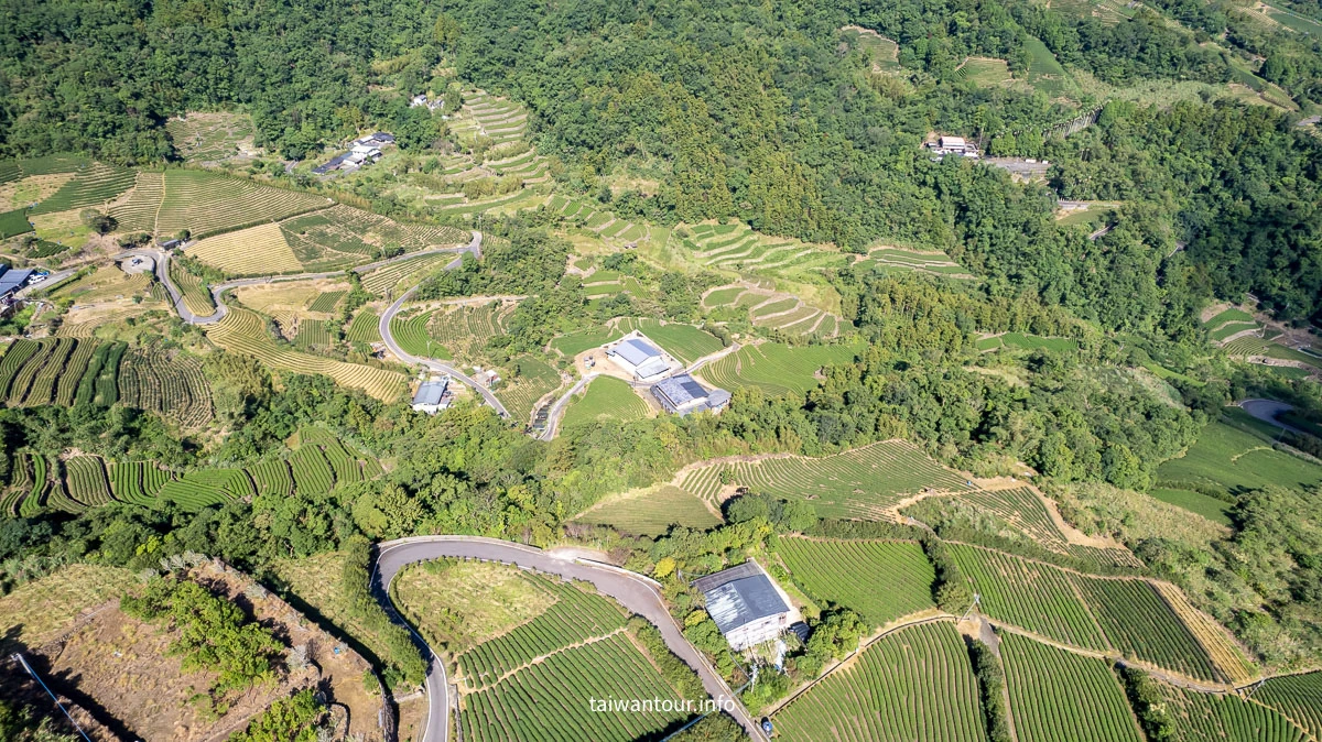 【南山寺景觀平台】新北抹茶山親子步道推薦 【南山寺景觀平台】新北抹茶山親子步道推薦