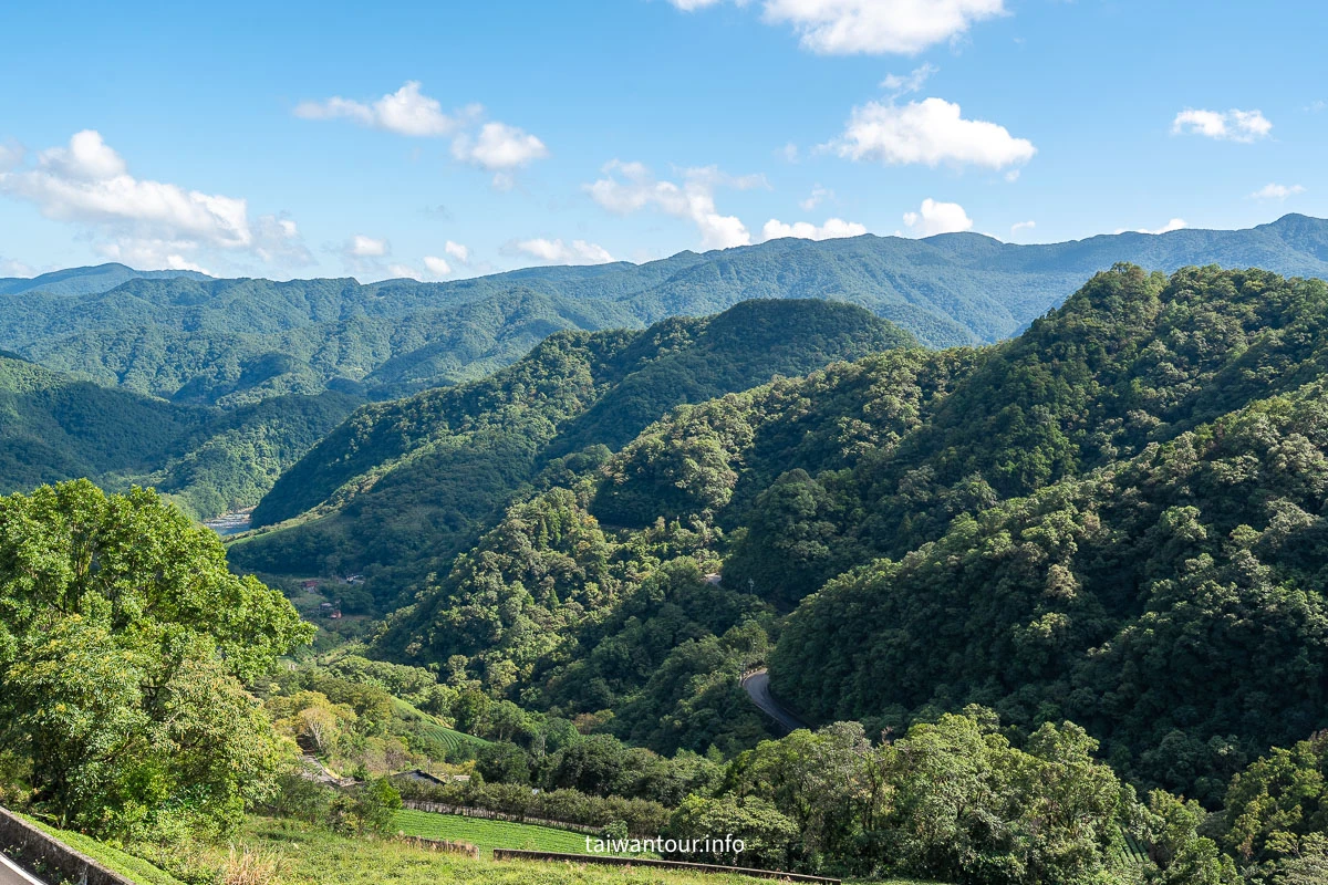 【南山寺景觀平台】新北抹茶山親子步道推薦 【南山寺景觀平台】新北抹茶山親子步道推薦