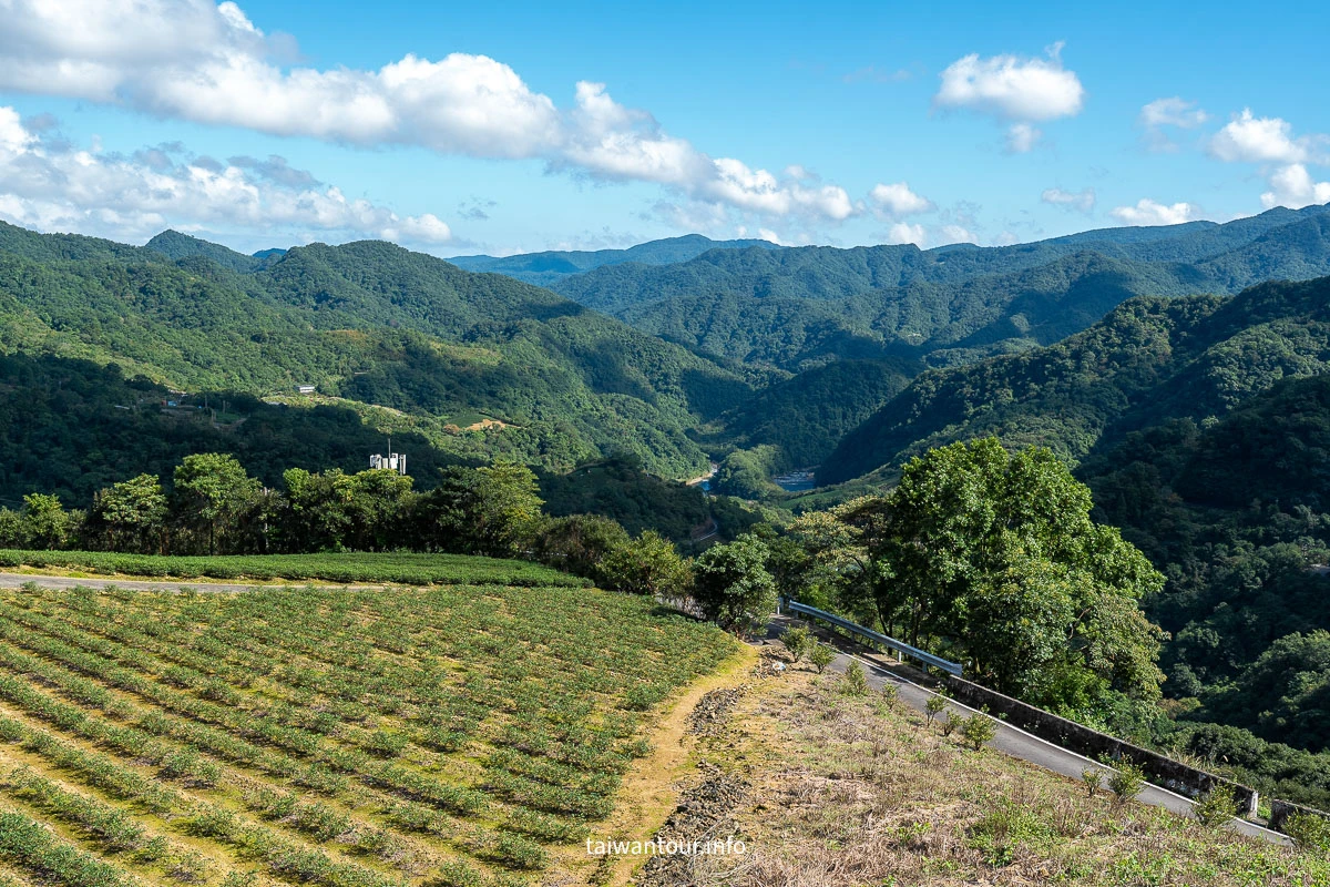 【南山寺景觀平台】新北抹茶山親子步道推薦 【南山寺景觀平台】新北抹茶山親子步道推薦