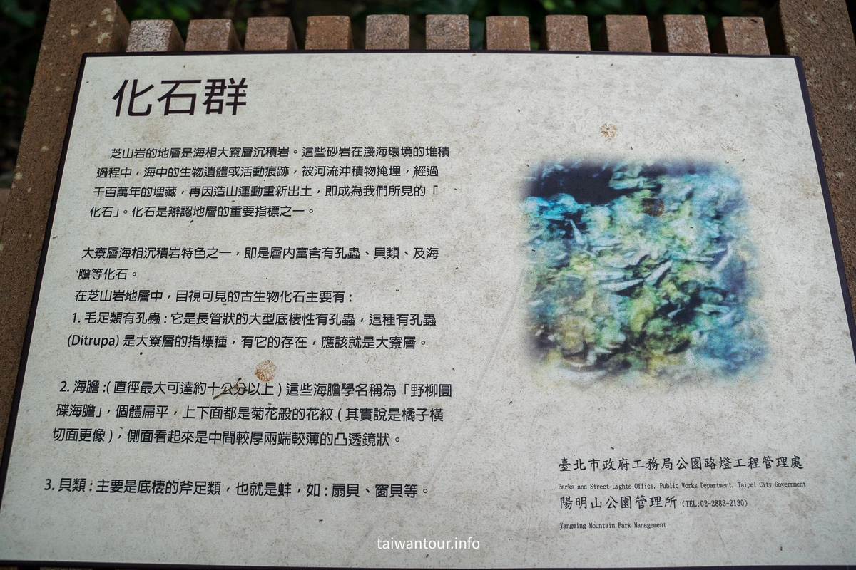 【芝山岩文化史蹟公園】台步親子步道推薦.士林 【芝山岩文化史蹟公園】台步親子步道推薦.士林