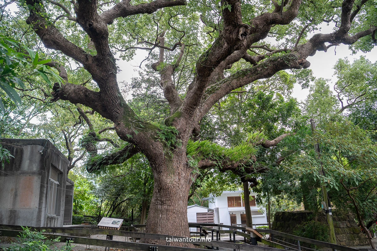 【芝山岩文化史蹟公園】台步親子步道推薦.士林 【芝山岩文化史蹟公園】台步親子步道推薦.士林