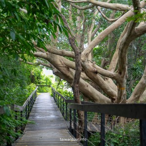 【芝山岩文化史蹟公園】台步親子步道推薦.士林
