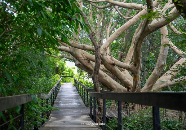 【芝山岩文化史蹟公園】台步親子步道推薦.士林