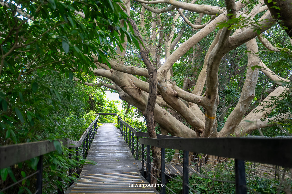 【芝山岩文化史蹟公園】台步親子步道推薦.士林