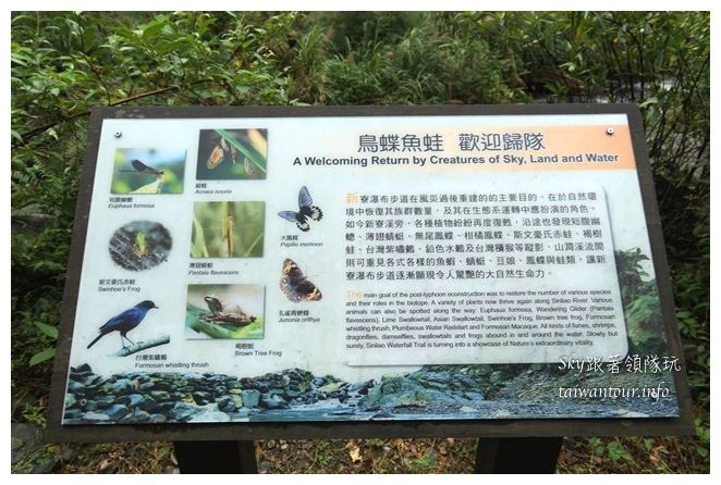 宜蘭景點新寮瀑布02122