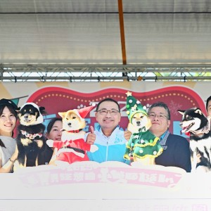 帶毛寶貝同遊新北歡樂耶誕城！ 侯友宜：10大寵物遊具免費玩