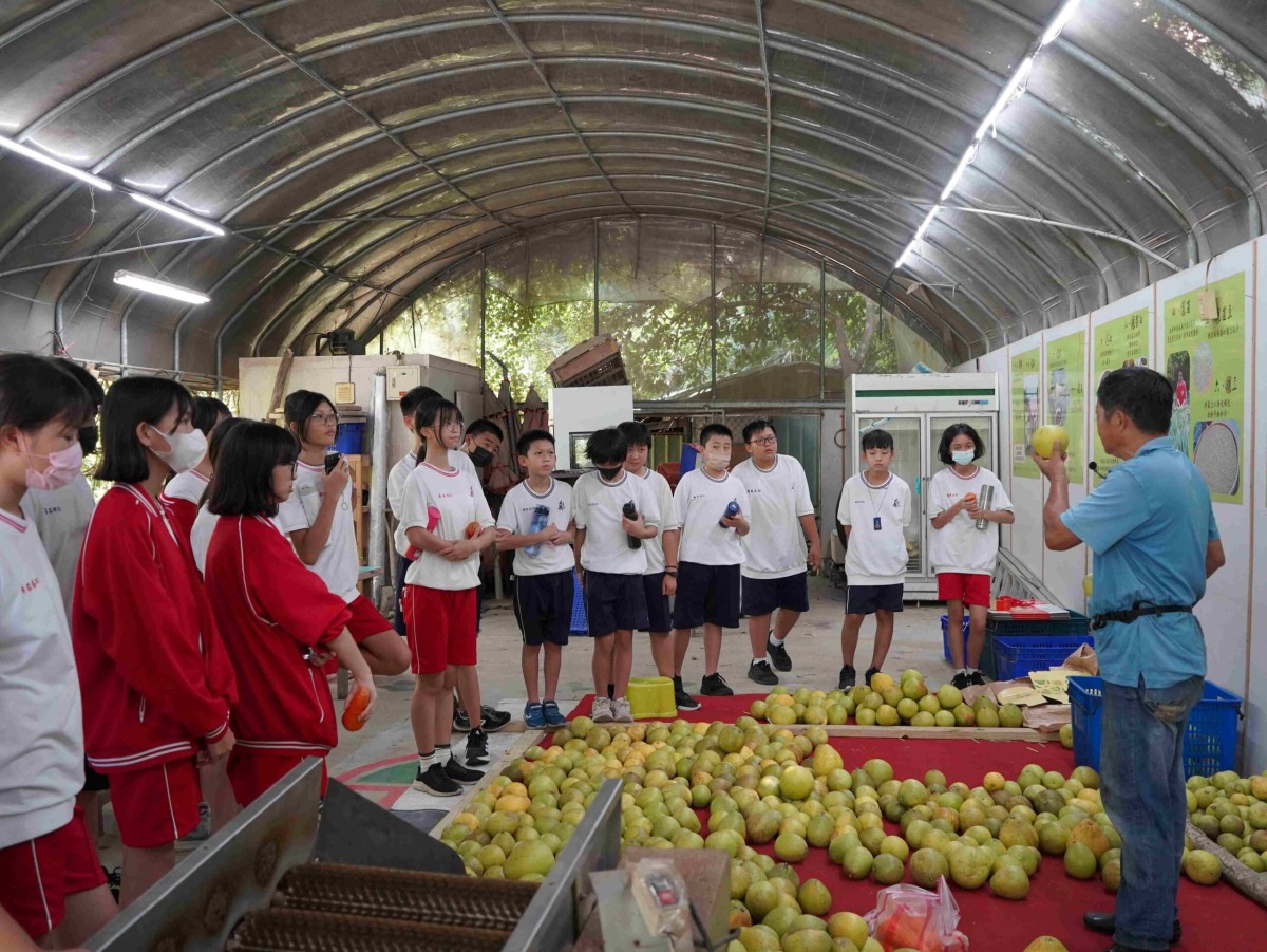 企業ESG×食農教育 新北打造場域教案新典範 企業ESG×食農教育 新北打造場域教案新典範