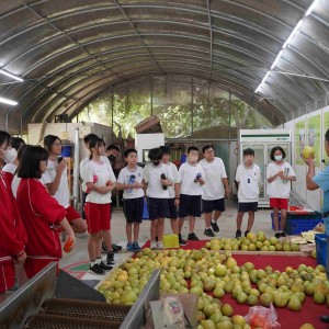 企業ESG×食農教育 新北打造場域教案新典範