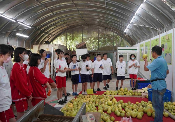 企業ESG×食農教育 新北打造場域教案新典範