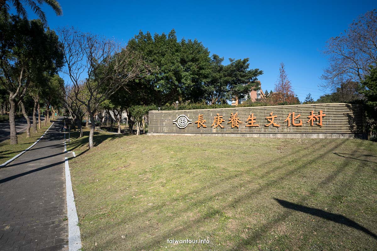 【長庚養生文化村落羽松】桃園龜山櫻花秘境推薦