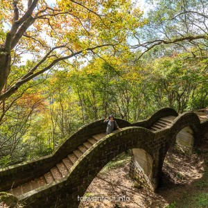2025【汐止拱北殿】雙拱橋.楓葉花況.公車.怎麼去.周邊美食