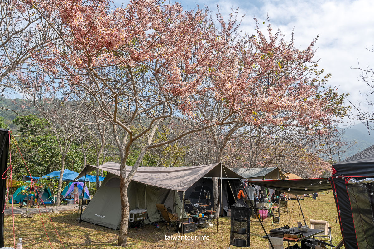 【遠山望月溫泉營區】花旗木露營.豪華露營.露營車.車泊 【遠山望月溫泉營區】花旗木露營.豪華露營.露營車.車泊