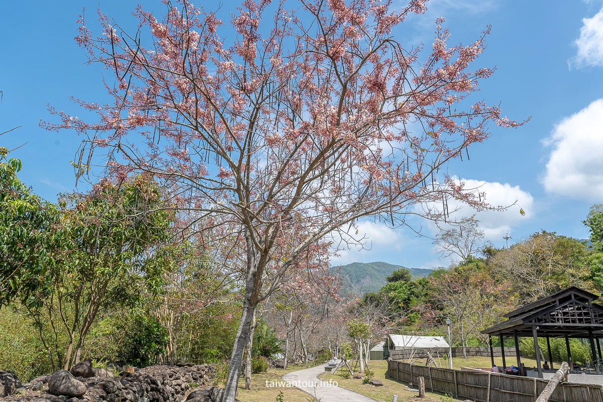 【遠山望月溫泉營區】花旗木露營.豪華露營.露營車.車泊 【遠山望月溫泉營區】花旗木露營.豪華露營.露營車.車泊