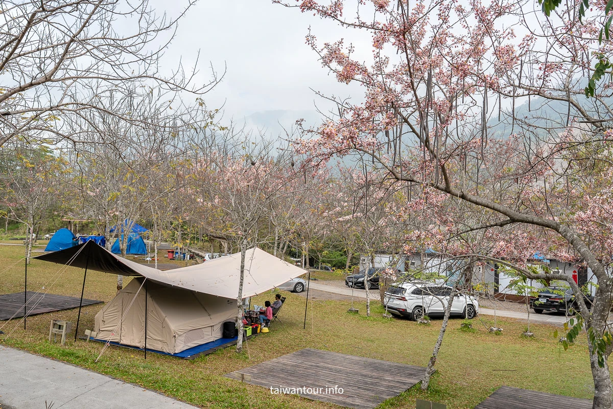 【遠山望月溫泉營區】花旗木露營.豪華露營.露營車.車泊