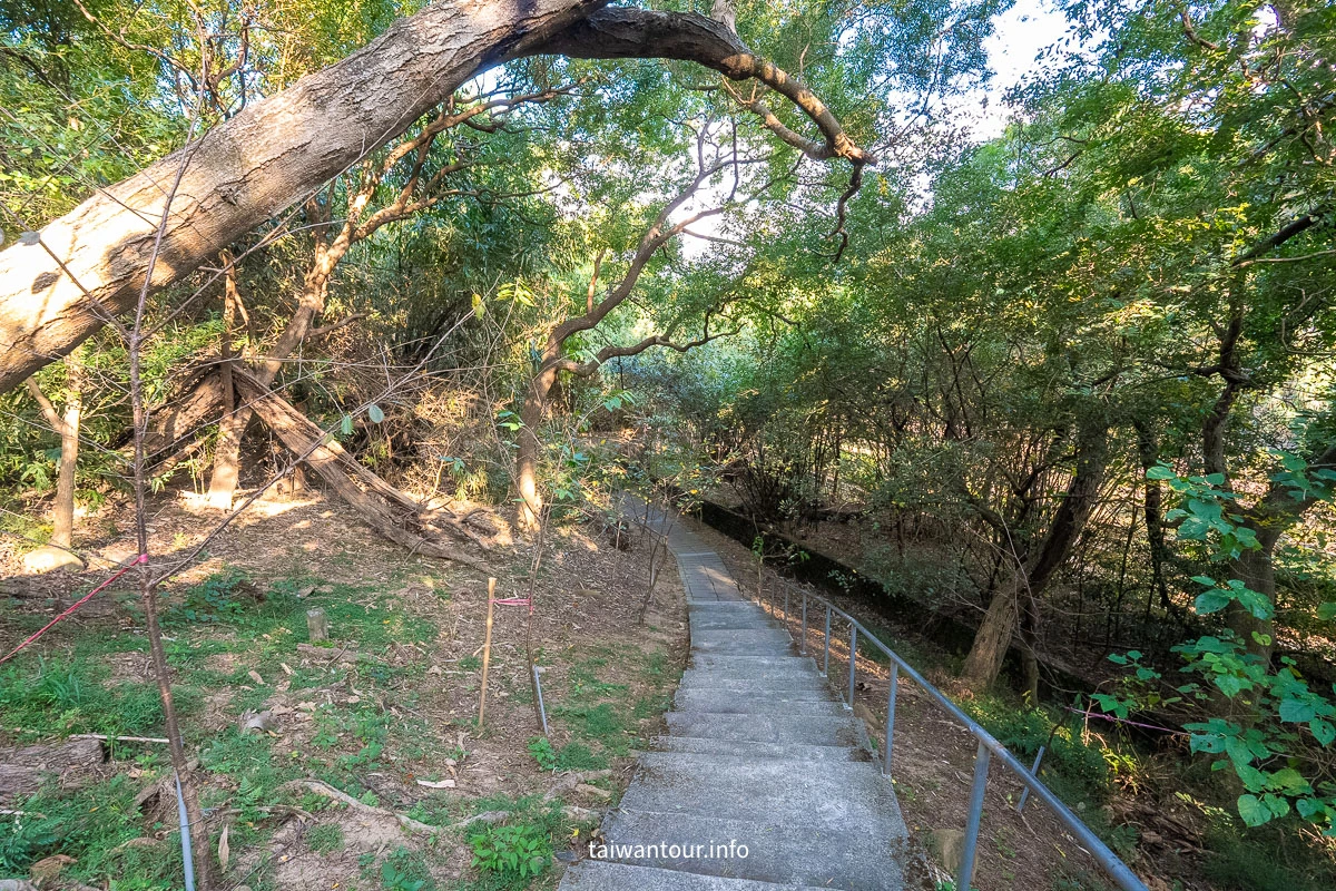 【功維敘隧道步道】苗栗景點推薦.貓貍山公園 【功維敘隧道步道】苗栗景點推薦.貓貍山公園