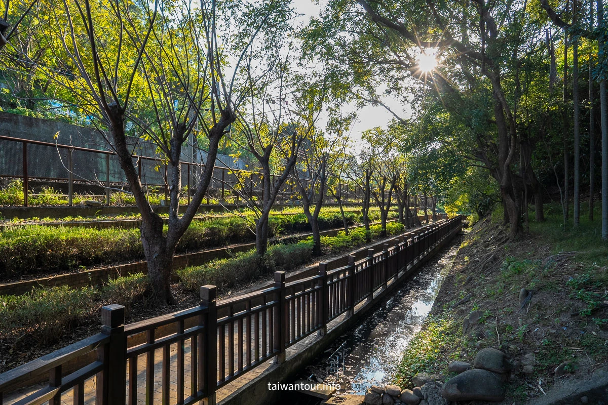 【功維敘隧道步道】苗栗景點推薦.貓貍山公園