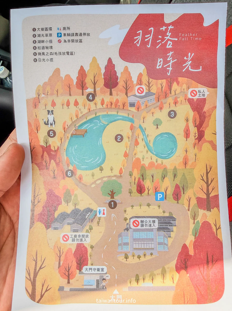 【欣美創意園區】南投名間落羽松推薦.親子銀髮族景點 【欣美創意園區】南投名間落羽松推薦.親子銀髮族景點