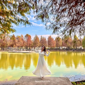 【欣美創意園區】南投名間落羽松推薦.親子銀髮族景點