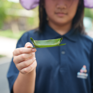 百年水圳潺潺流淌：新竹南埔社區以豐沛生態，打造台灣永續農村典範