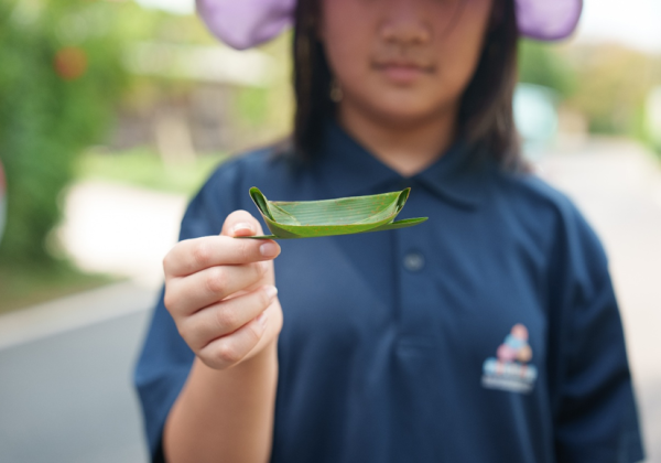 百年水圳潺潺流淌：新竹南埔社區以豐沛生態，打造台灣永續農村典範