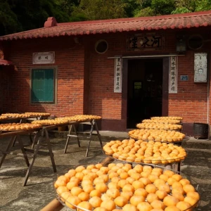 秋日限定的黃金浪潮:新竹旱坑社區「味衛佳柿餅」以「曬柿」文化,打造人文與自然共聚的永續農村典範 秋日限定的黃金浪潮:新竹旱坑社區「味衛佳柿餅」以「曬柿」文化,打造人文與自然共聚的永續農村典範