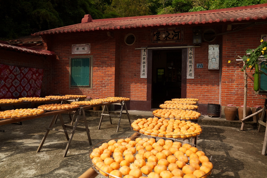 秋日限定的黃金浪潮：新竹旱坑社區「味衛佳柿餅」以「曬柿」文化，打造人文與自然共聚的永續農村典範
