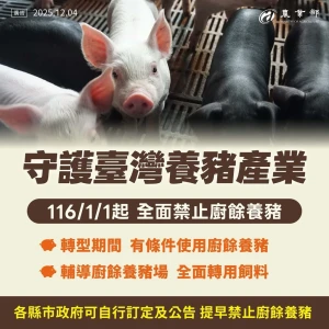 推動一年內廚餘養豬全面轉型　強化非洲豬瘟防疫韌性