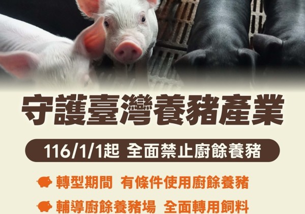 推動一年內廚餘養豬全面轉型　強化非洲豬瘟防疫韌性