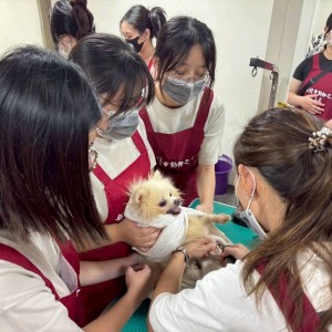 台北海洋科技大學寵物經營管理系系學會vs以專業與愛心