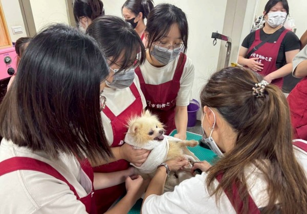 台北海洋科技大學寵物經營管理系系學會vs以專業與愛心