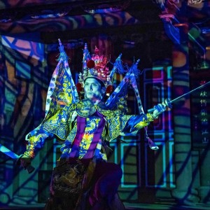 《月光之戀 仙履林園》光雕展演   12/27最終場驚喜加長版演出