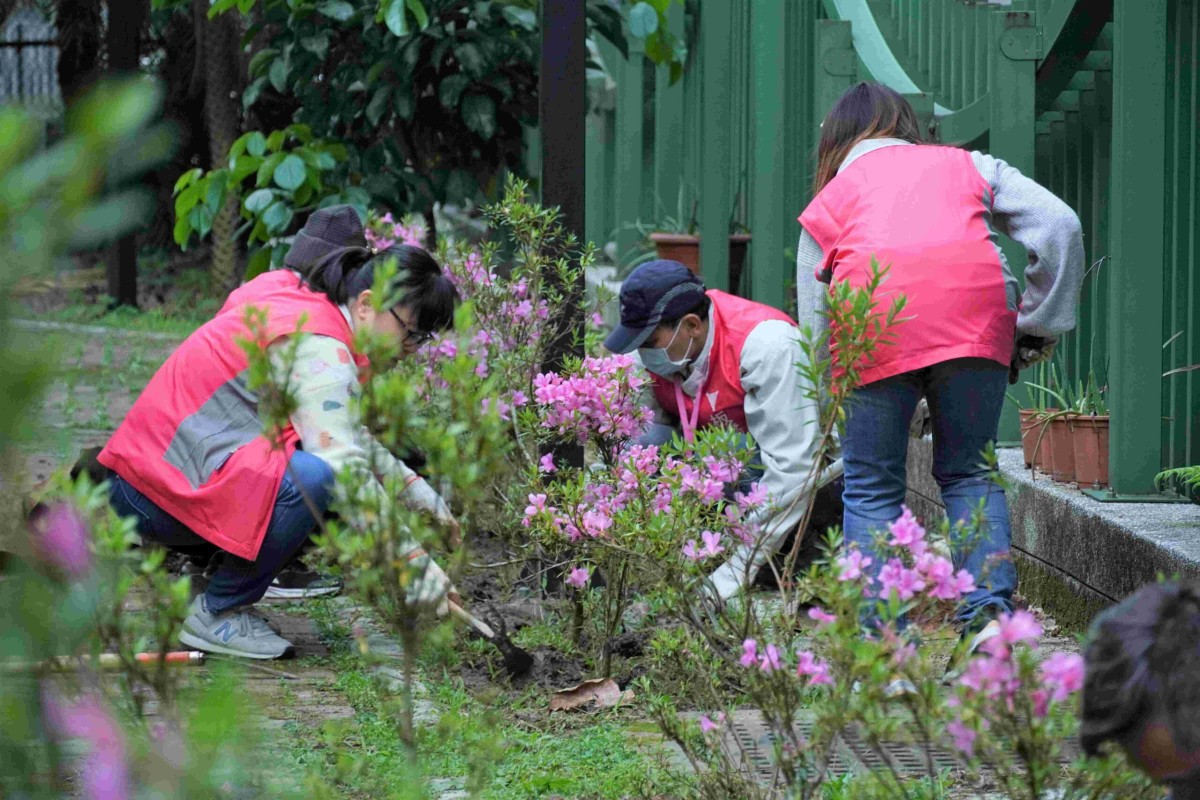 新北市持續推動《為地球種下一棵樹》  綠色耶誕限定快閃贈苗