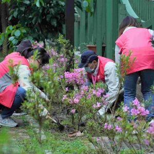 新北市持續推動《為地球種下一棵樹》  綠色耶誕限定快閃贈苗