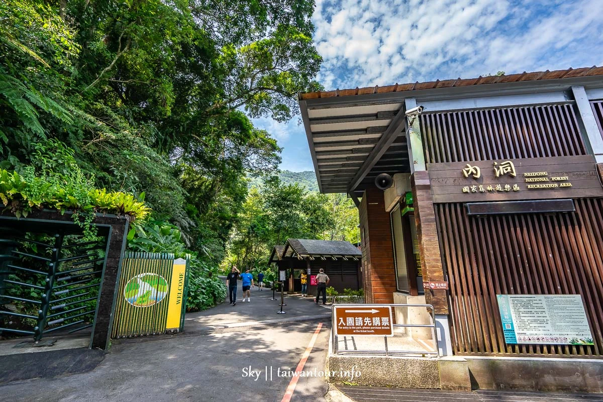 森林巴士【內洞國家森林芬多精健行一日】幸福森在其中 森林巴士【內洞國家森林芬多精健行一日】幸福森在其中