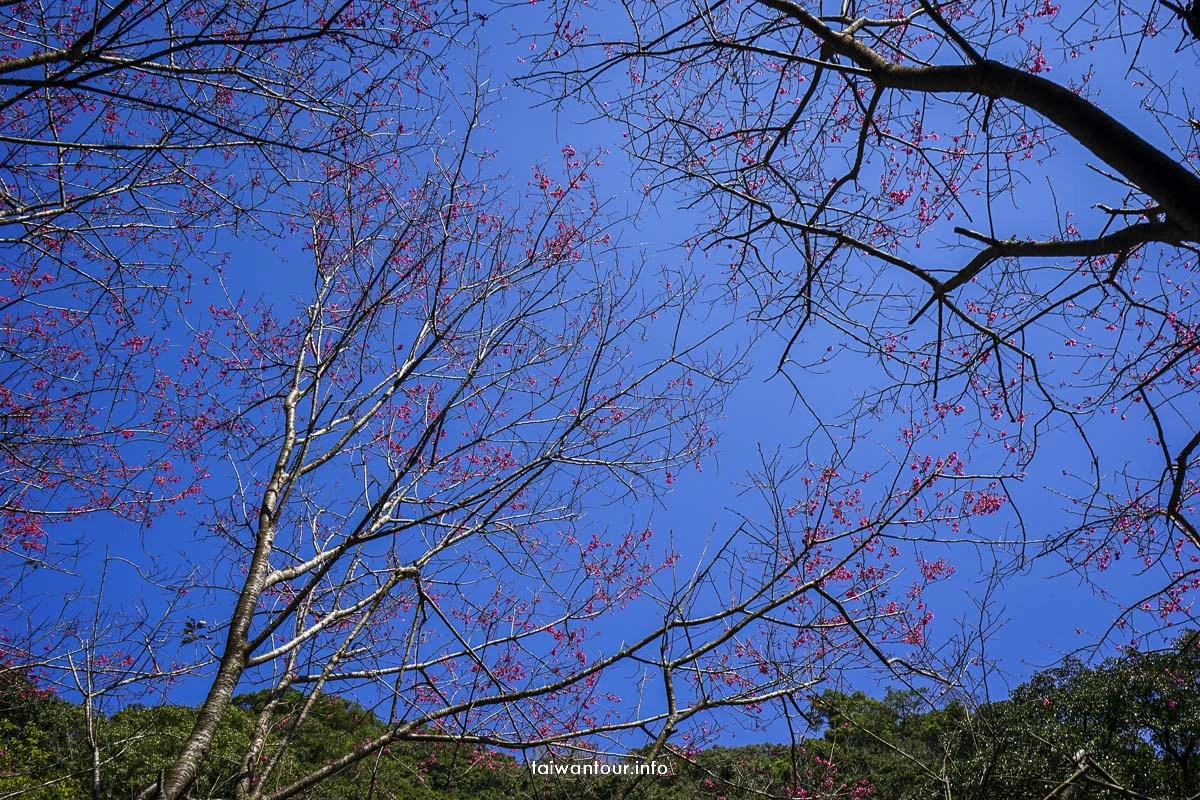 【觀音山硬漢嶺步道】北部景點推薦五股世界級的景觀